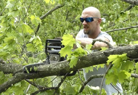 Downed trees and power lines cover Carterville